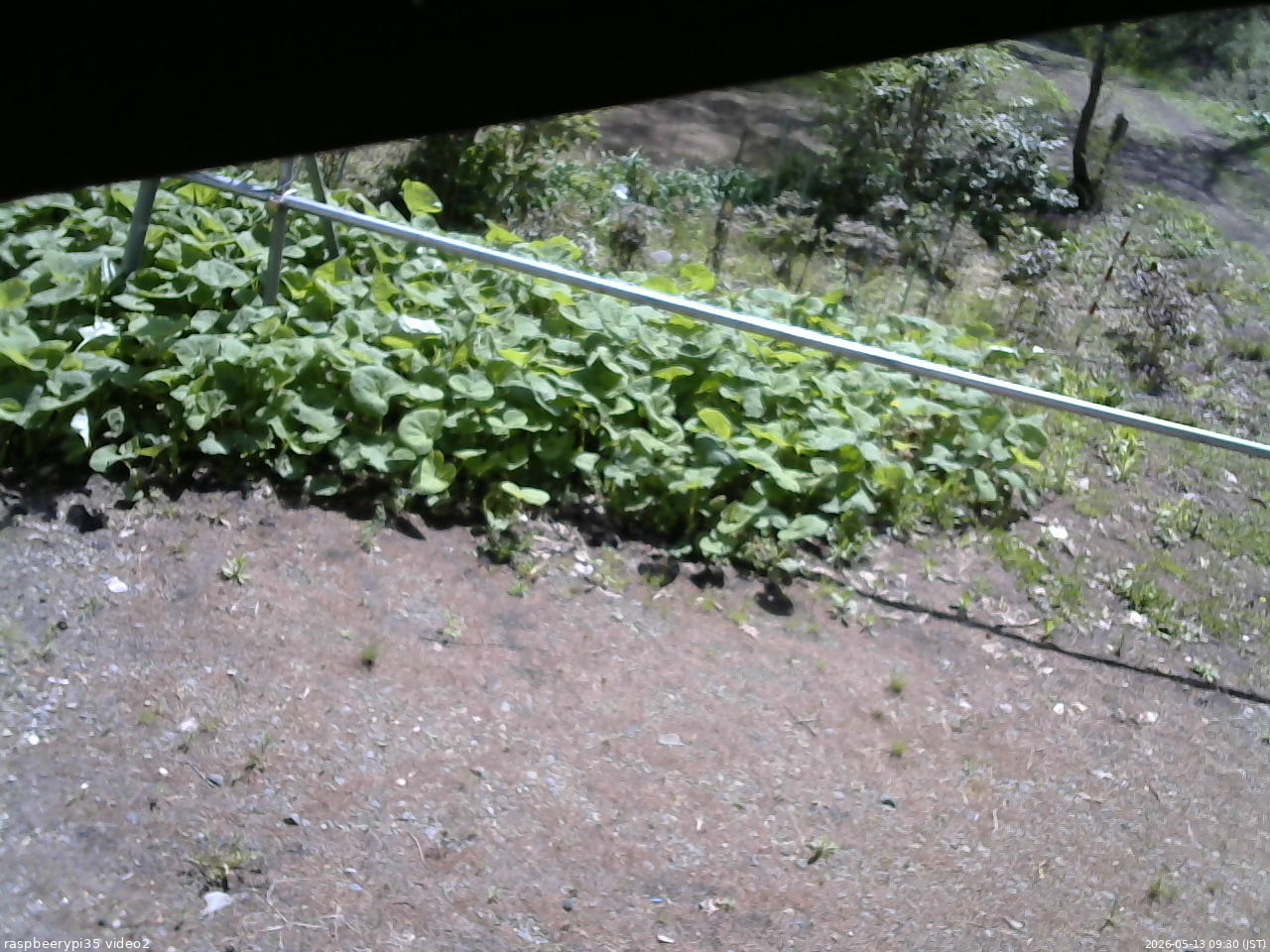 長野県菅平高原 ゆたか山荘 駐車場 2026/05/13 09:30