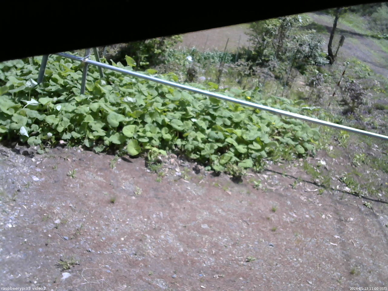長野県菅平高原 ゆたか山荘 駐車場 2026/05/13 11:00