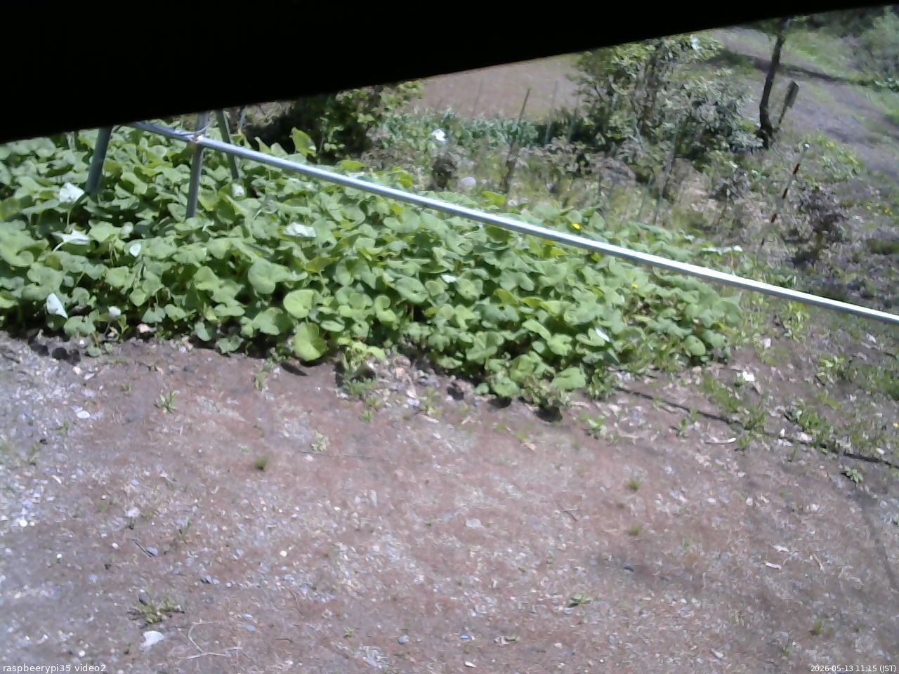 長野県菅平高原 ゆたか山荘 駐車場 2026/05/13 11:15