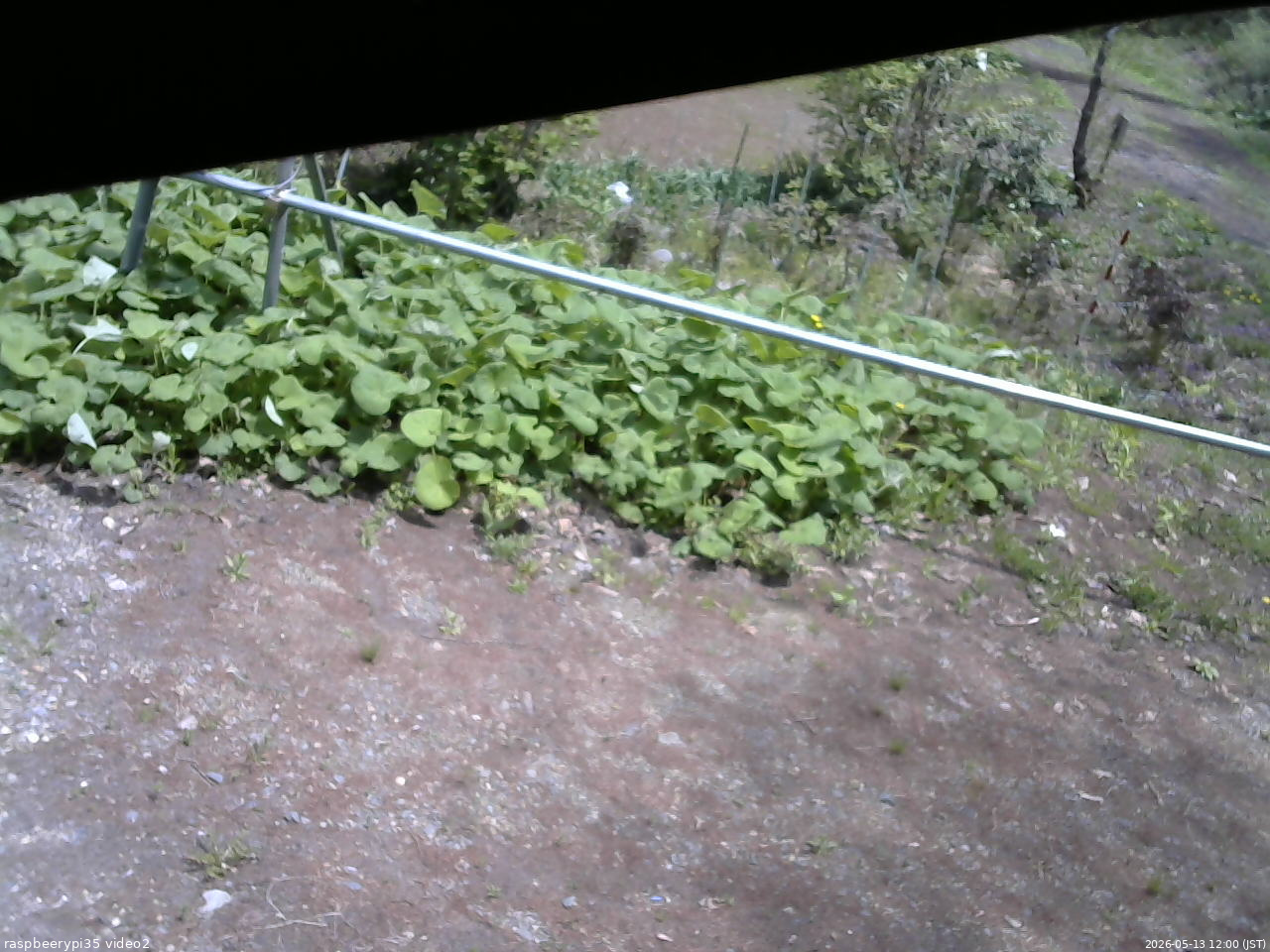 長野県菅平高原 ゆたか山荘 駐車場 2026/05/13 12:00