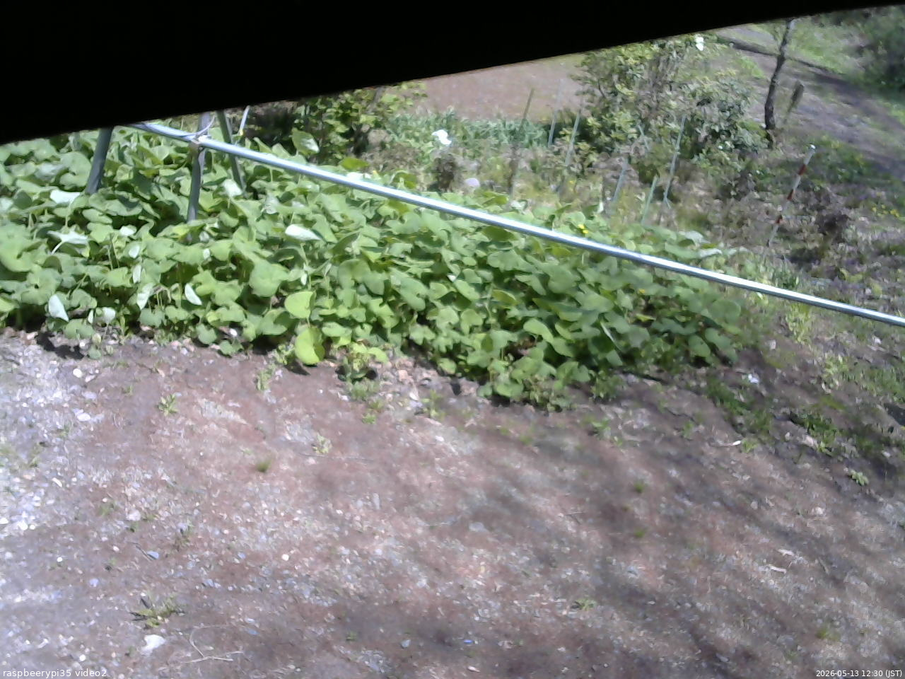 長野県菅平高原 ゆたか山荘 駐車場 2026/05/13 12:30