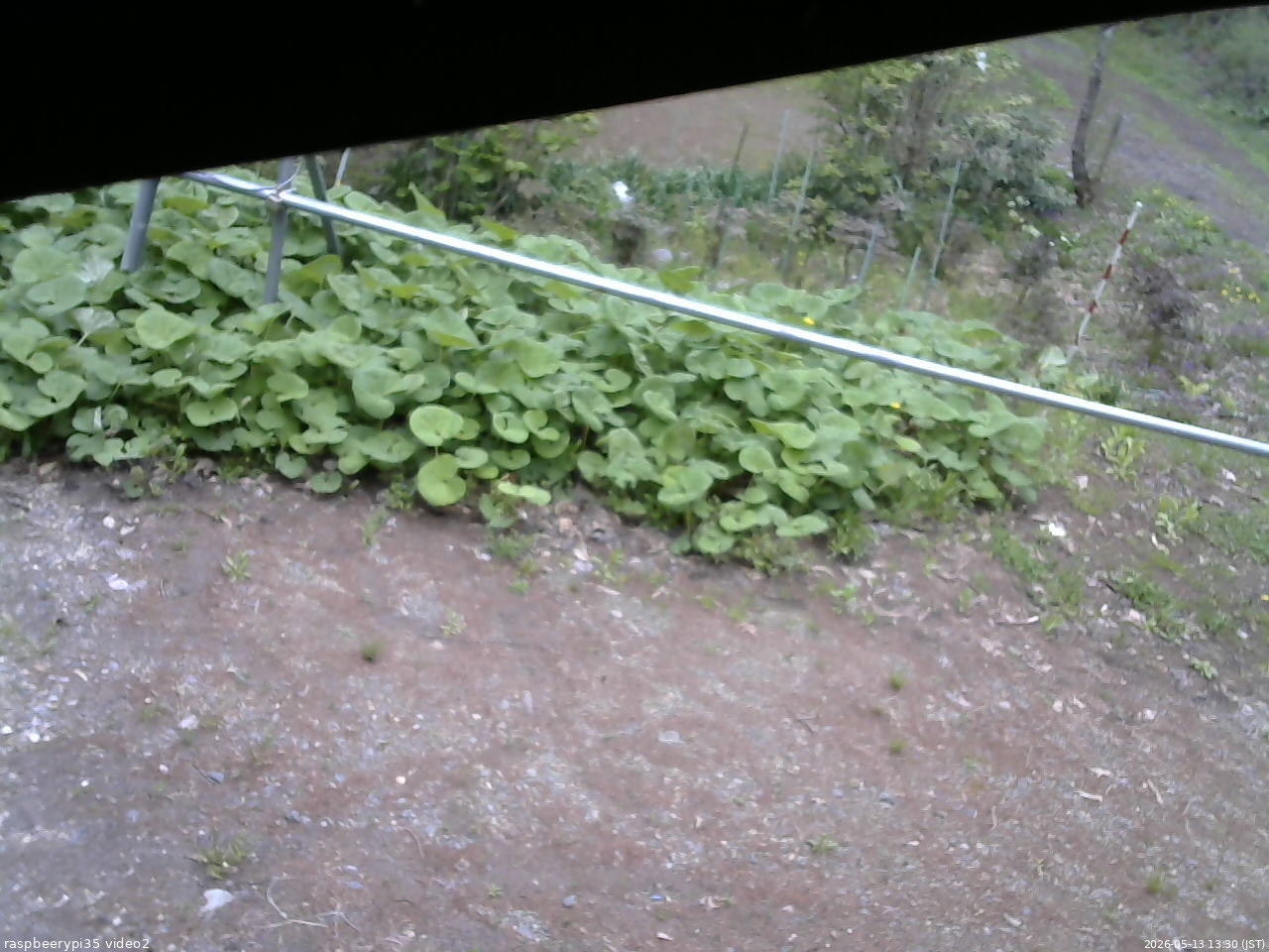 長野県菅平高原 ゆたか山荘 駐車場 2026/05/13 13:30