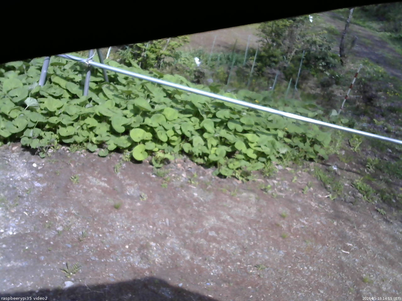 長野県菅平高原 ゆたか山荘 駐車場 2026/05/13 14:15