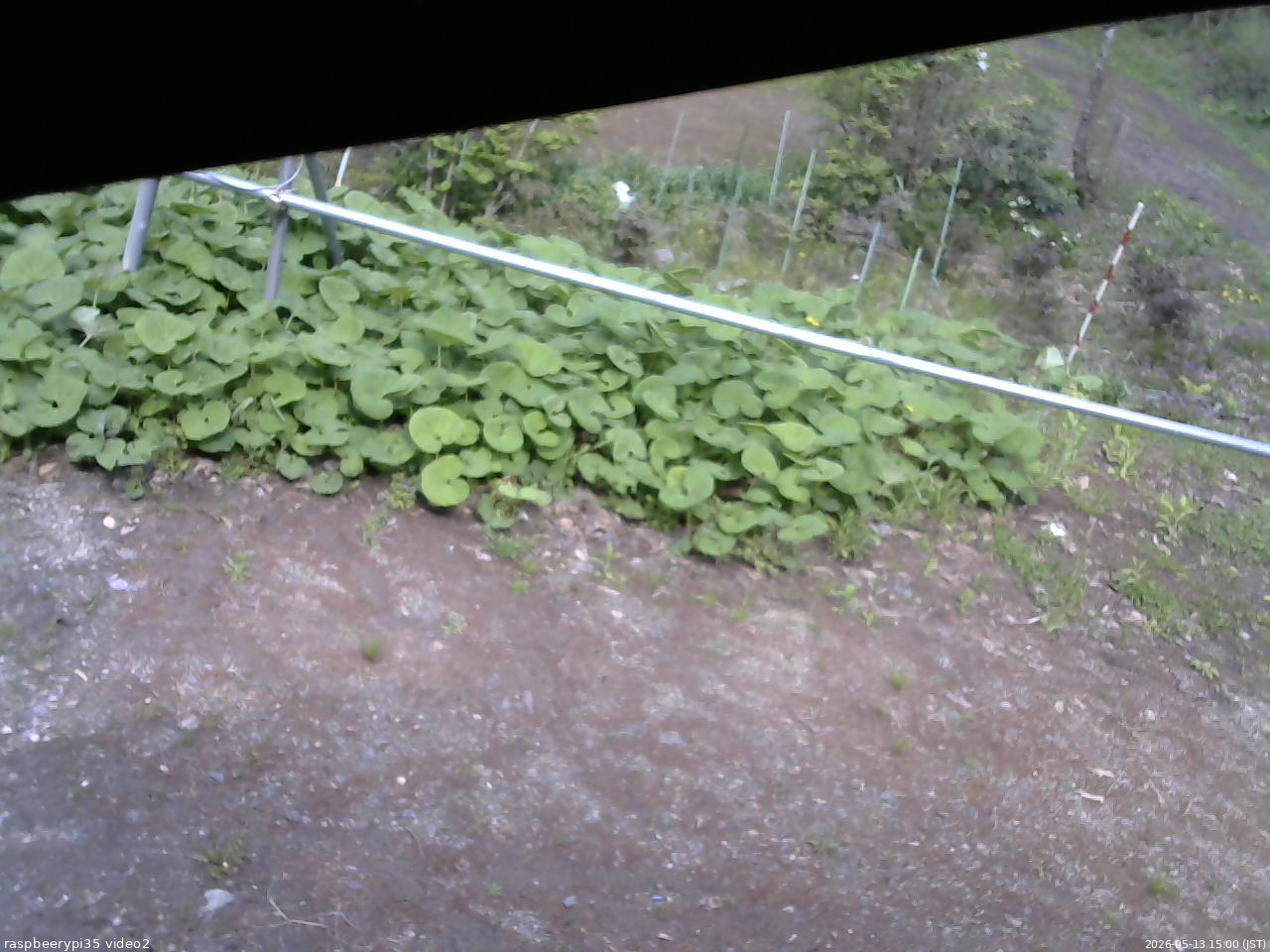長野県菅平高原 ゆたか山荘 駐車場 2026/05/13 15:00