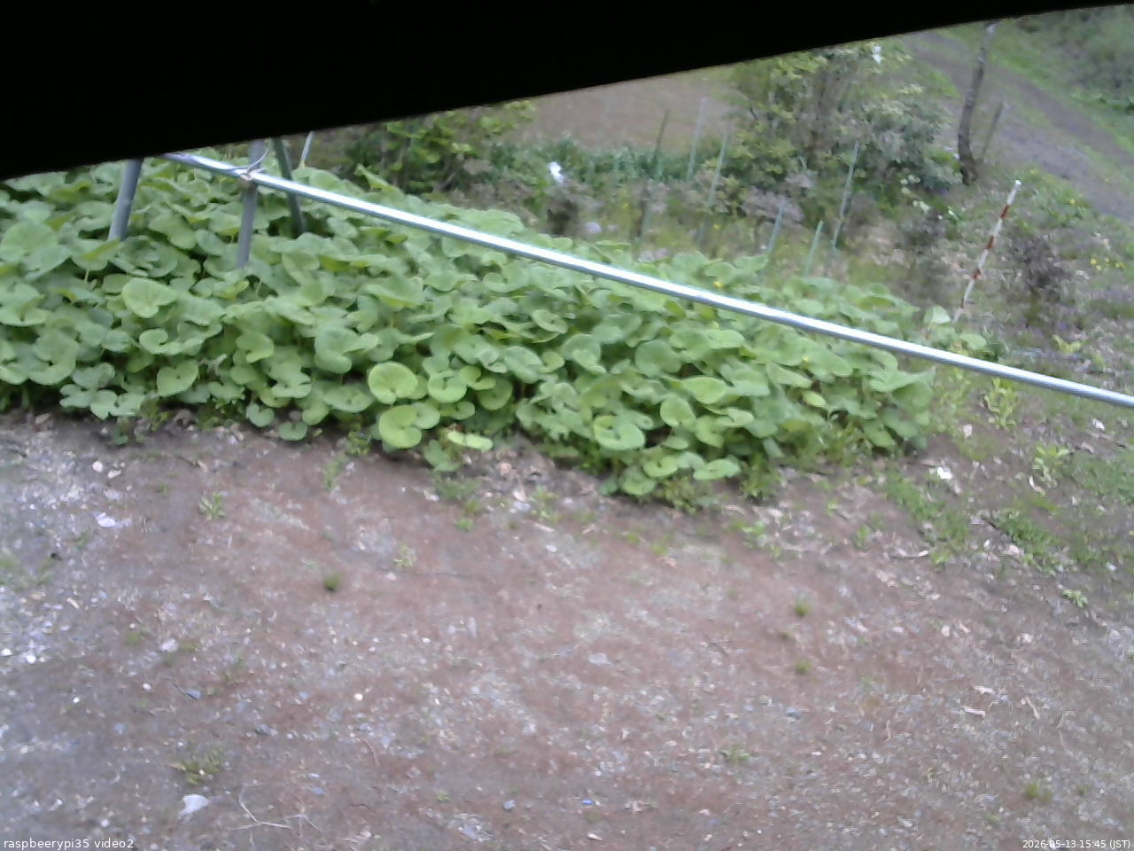 長野県菅平高原 ゆたか山荘 駐車場 2026/05/13 15:45