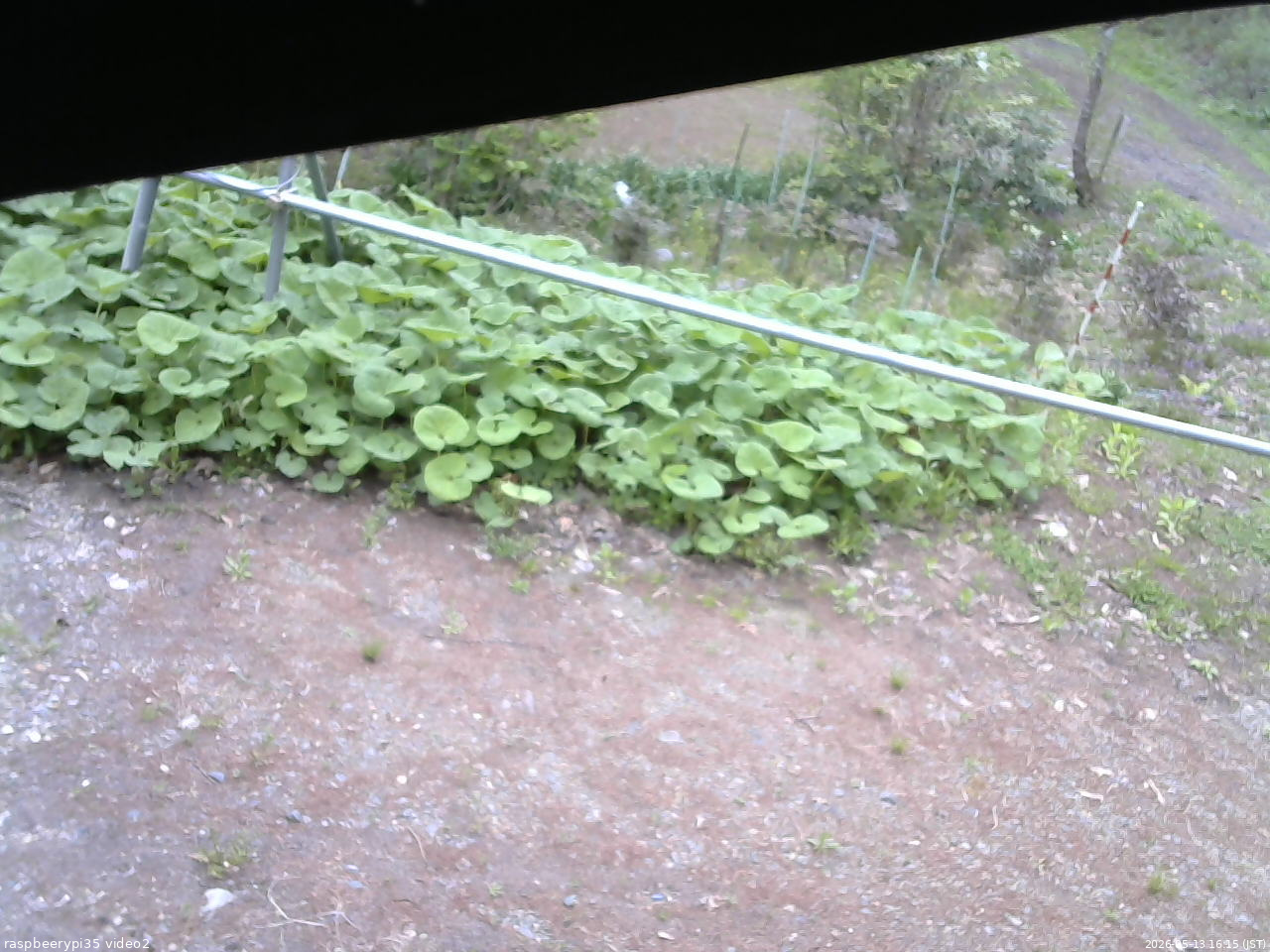 長野県菅平高原 ゆたか山荘 駐車場 2026/05/13 16:15