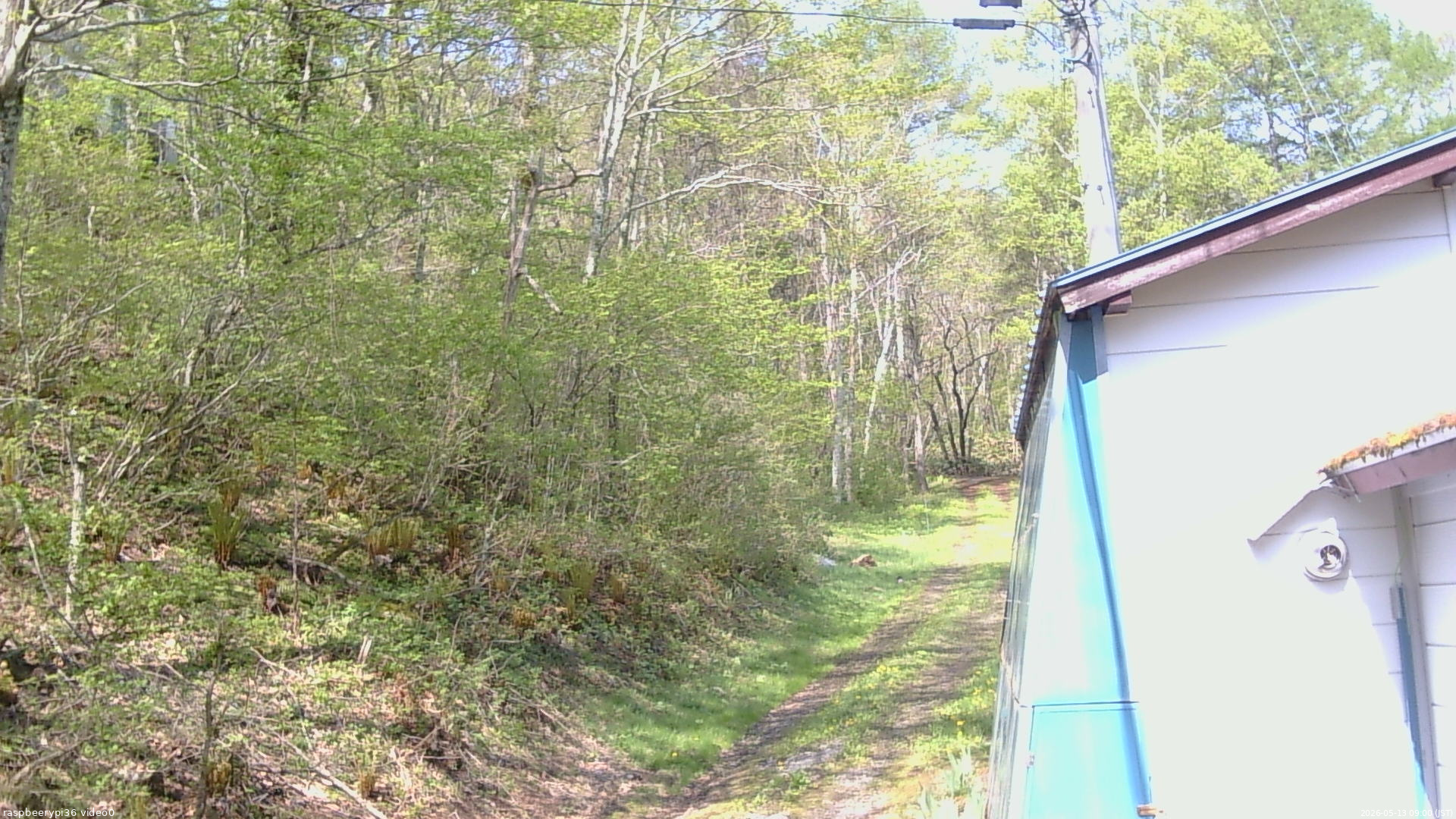 長野県菅平高原 ゆたか山荘 ゆたか山荘 2026/05/13 09:00