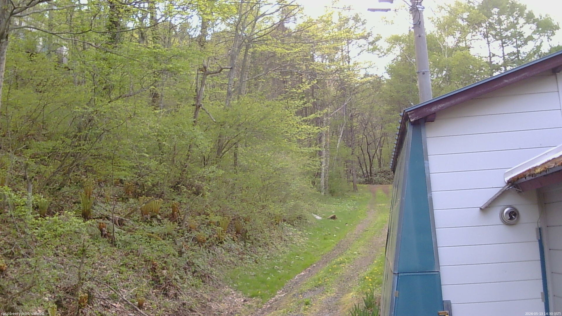 長野県菅平高原 ゆたか山荘 ゆたか山荘 2026/05/13 14:30