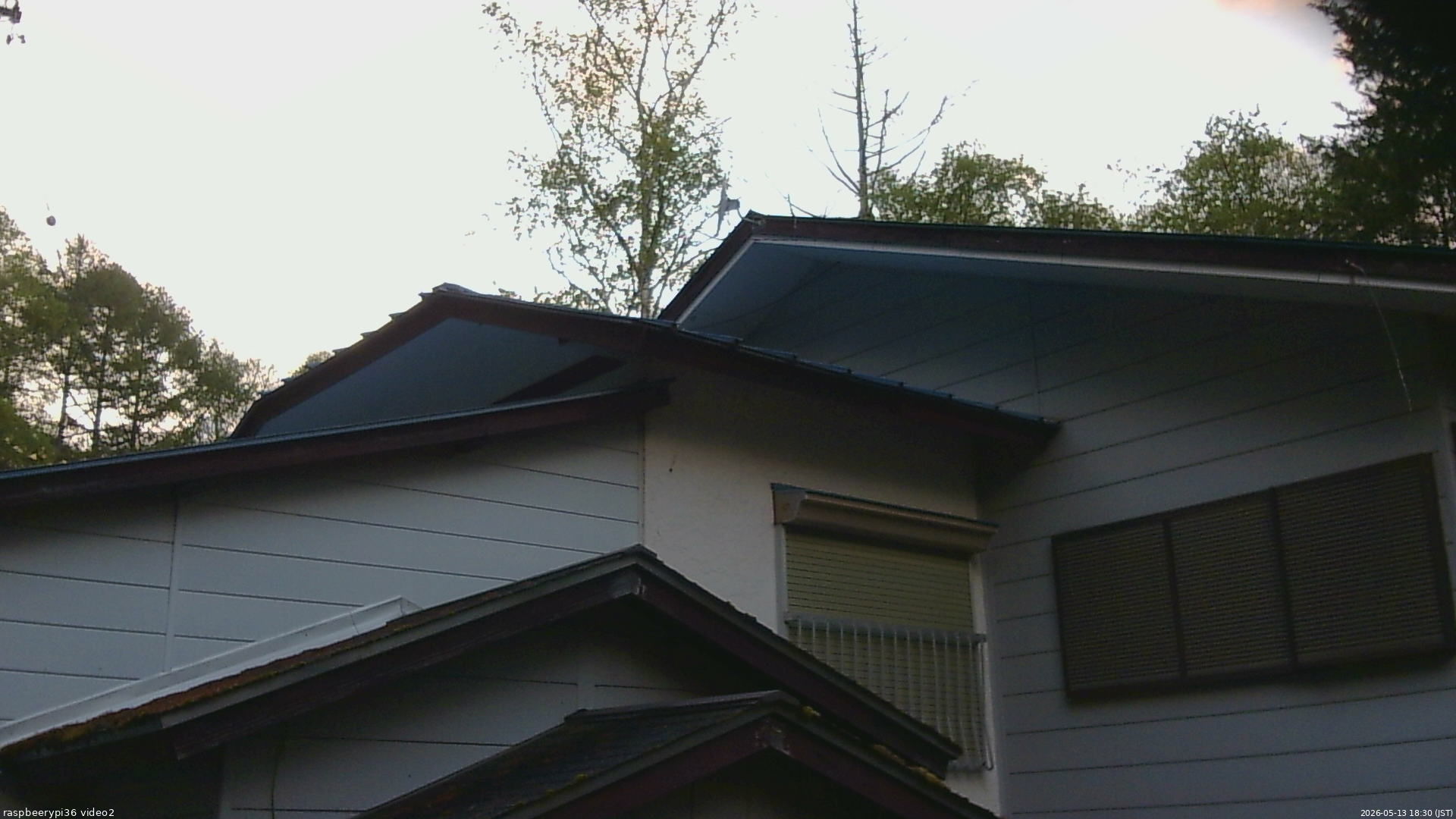 長野県菅平高原 ゆたか山荘 駐車場奥 2026/05/13 18:30