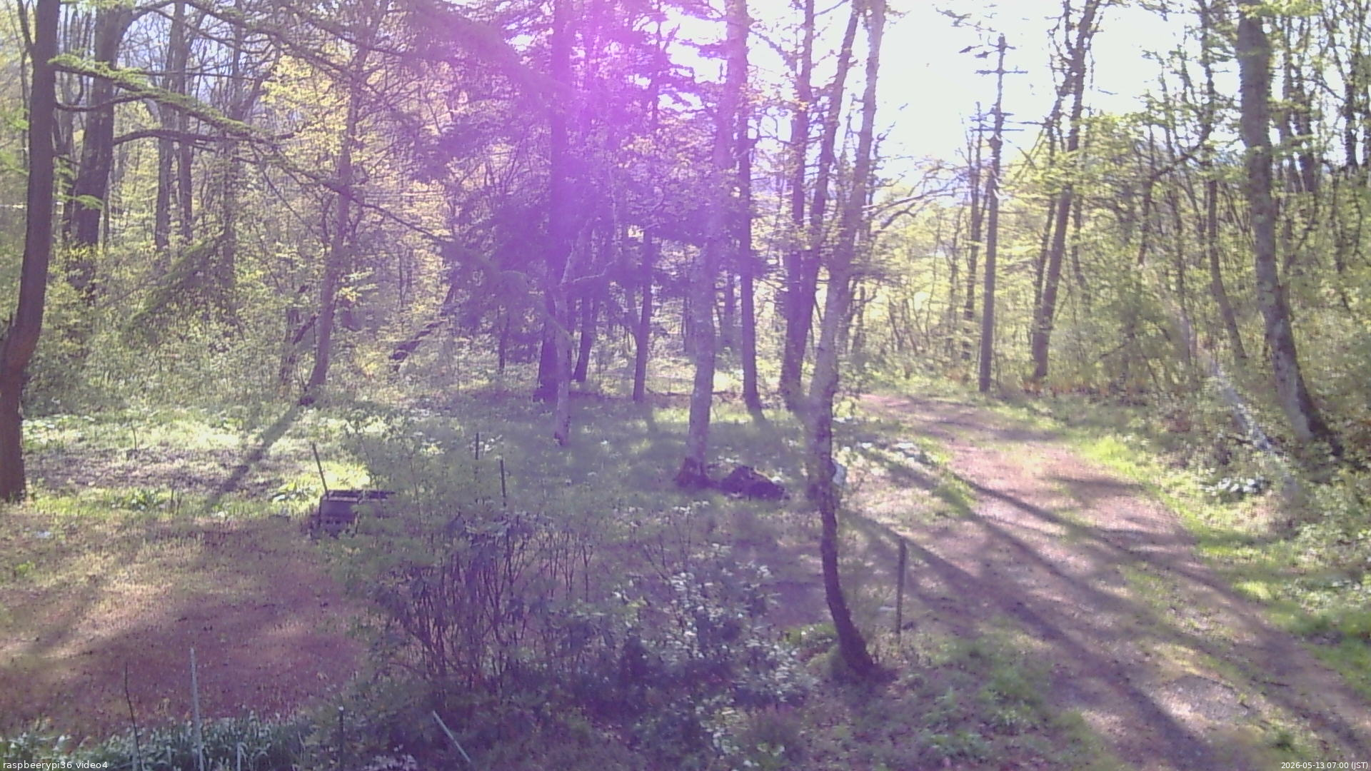 長野県菅平高原 ゆたか山荘 坂上 2026/05/13 07:00