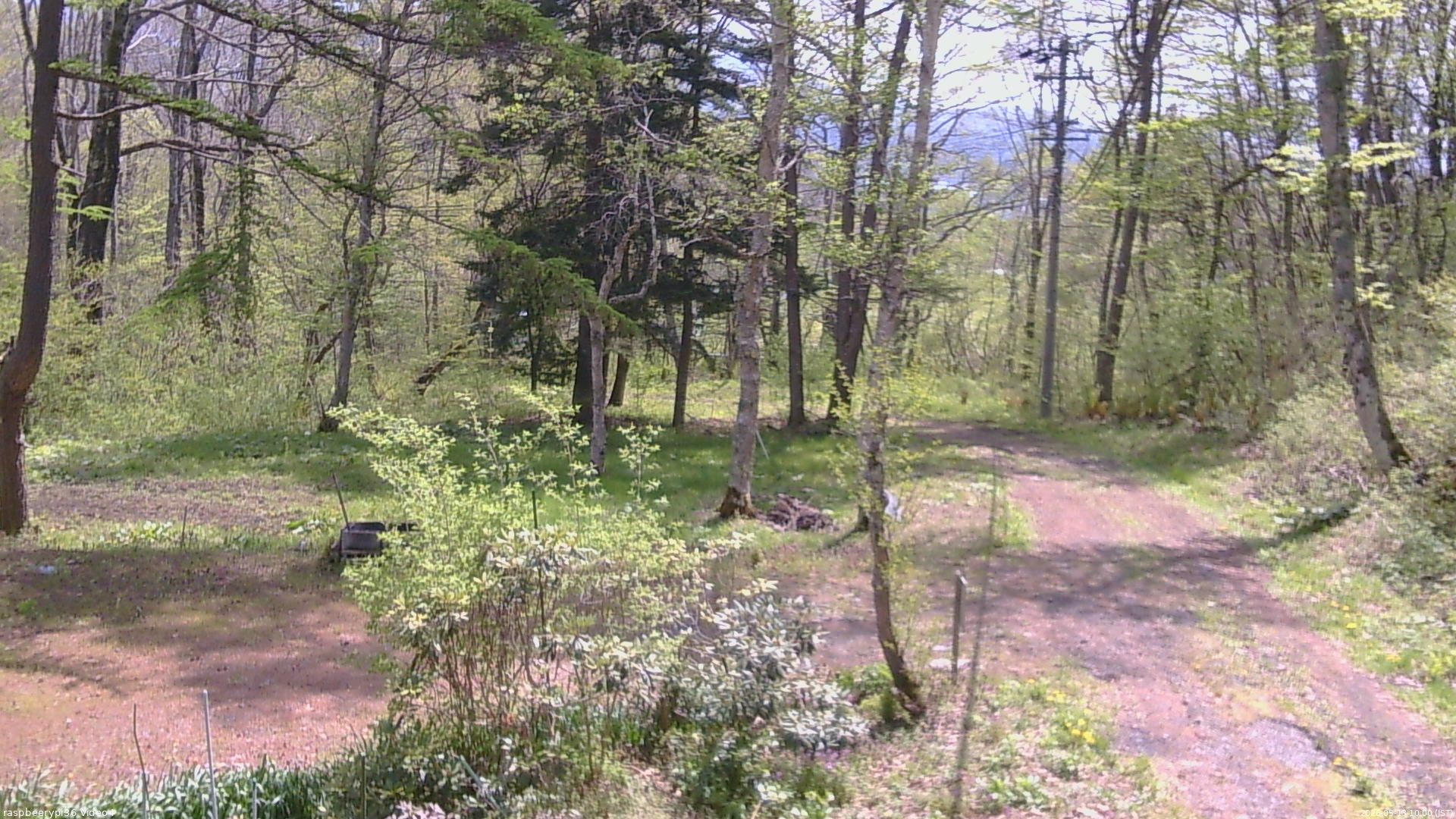 長野県菅平高原 ゆたか山荘 坂上 2026/05/13 10:00