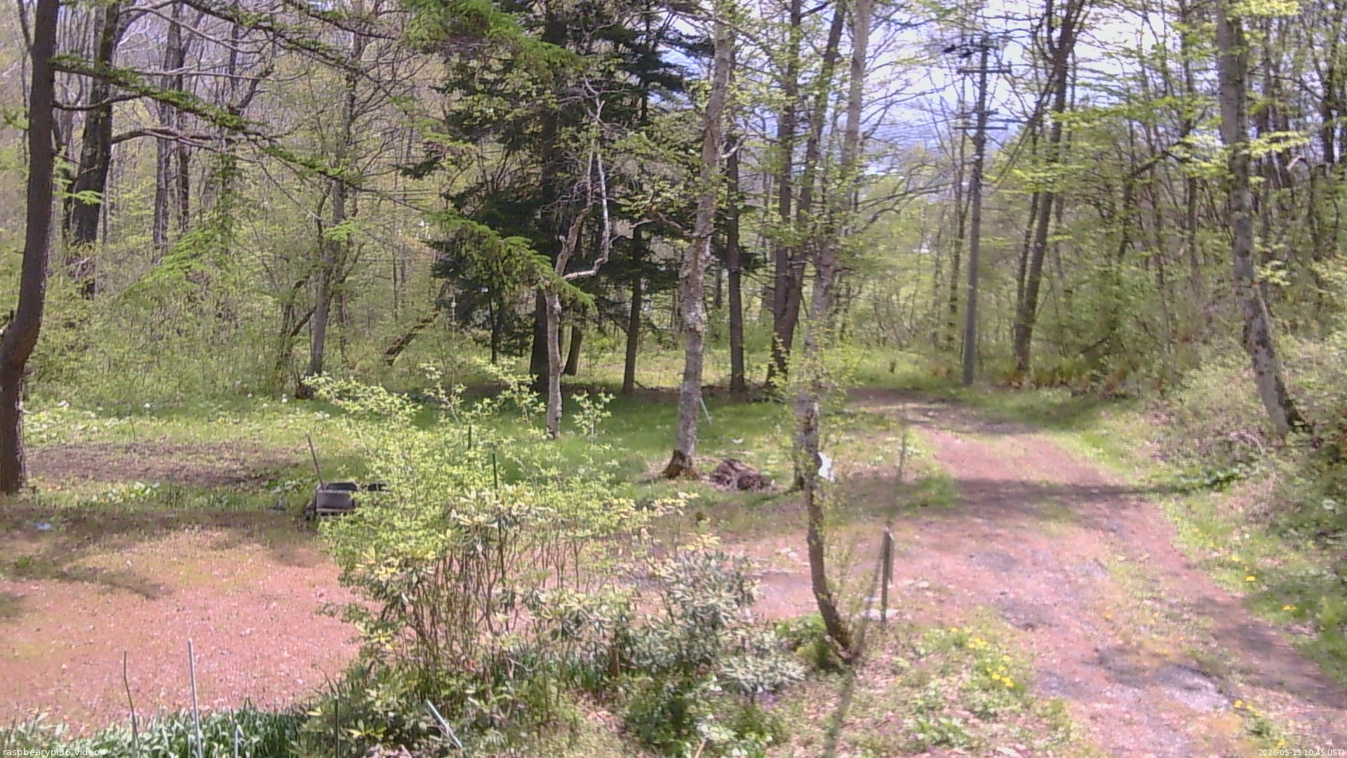 長野県菅平高原 ゆたか山荘 坂上 2026/05/13 10:45