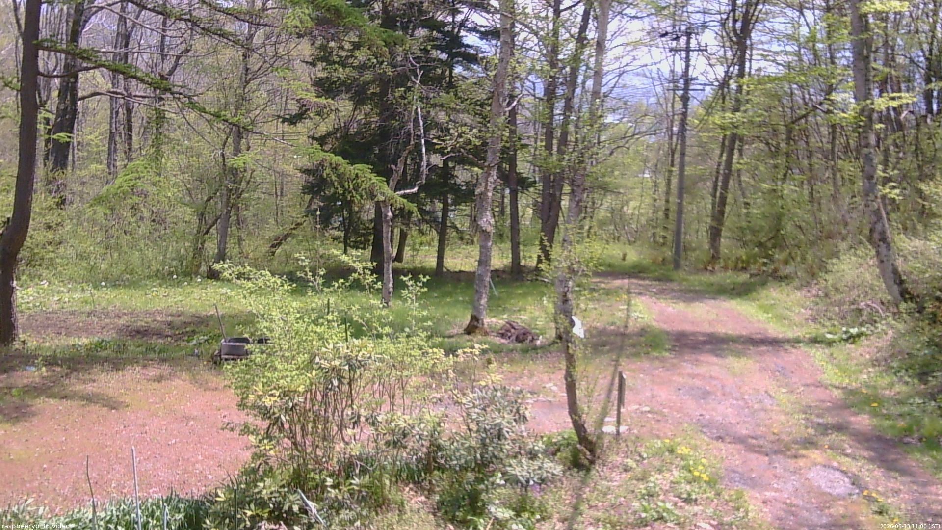 長野県菅平高原 ゆたか山荘 坂上 2026/05/13 11:00