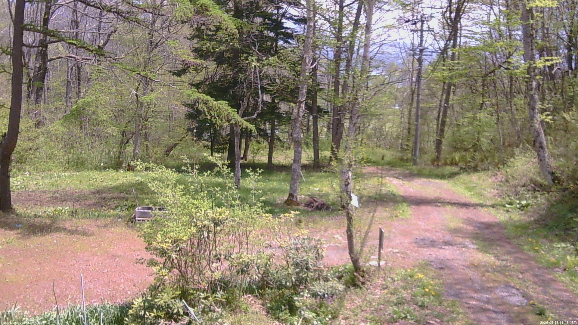 長野県菅平高原 ゆたか山荘 坂上 2026/05/13 11:45