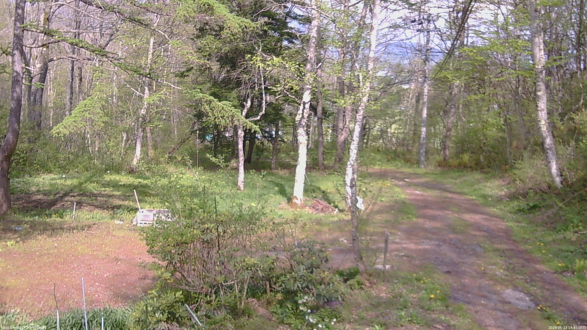 長野県菅平高原 ゆたか山荘 坂上 2026/05/13 14:45