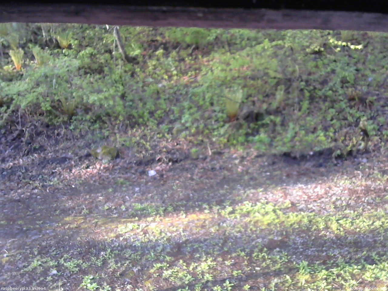 長野県菅平高原 ゆたか山荘 東側(坂下) 2026/05/14 06:00