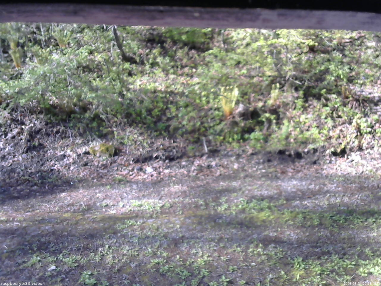長野県菅平高原 ゆたか山荘 東側(坂下) 2026/05/14 07:15