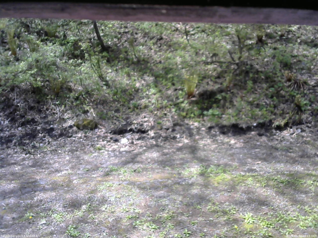 長野県菅平高原 ゆたか山荘 東側(坂下) 2026/05/14 09:15