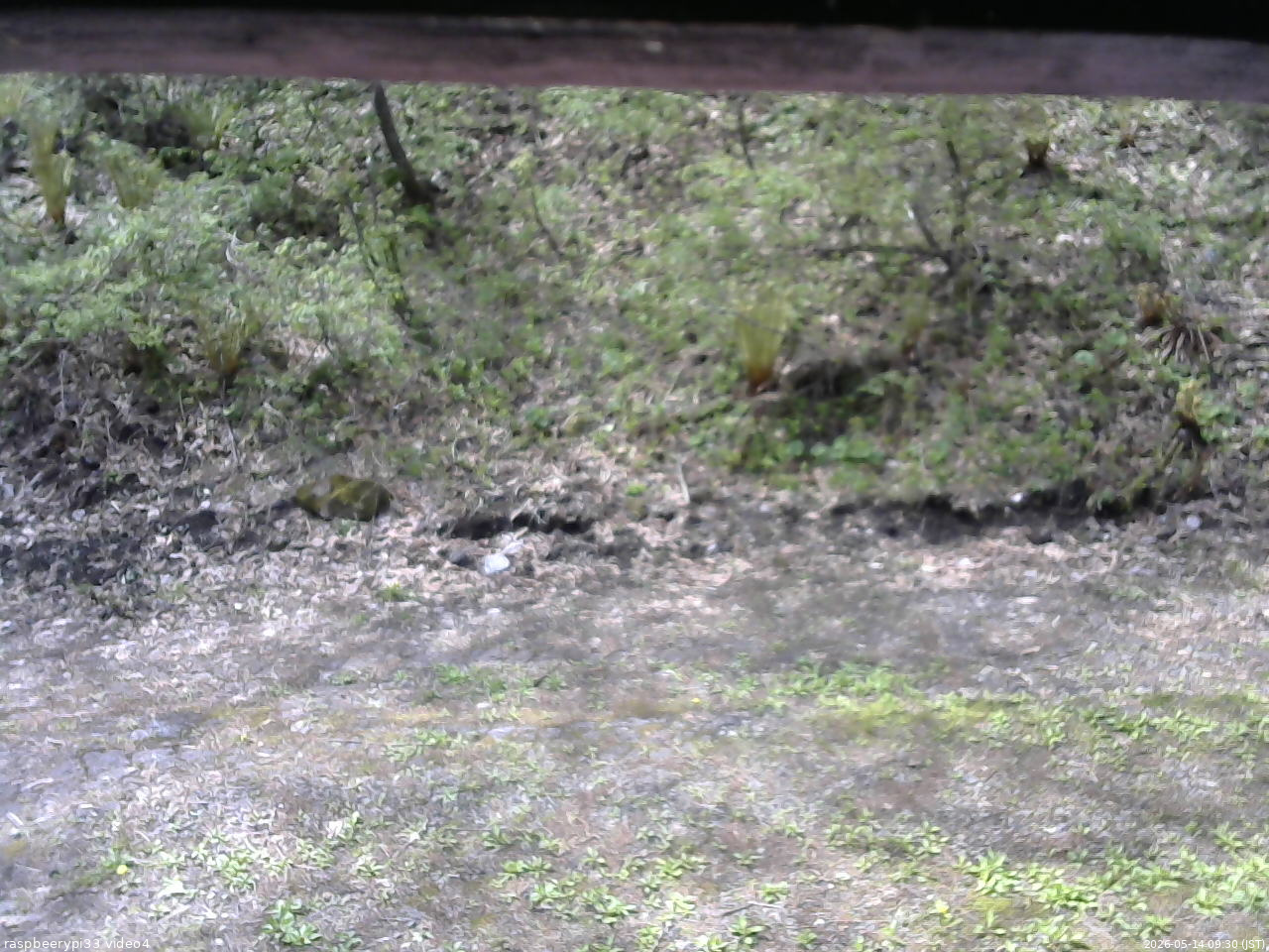 長野県菅平高原 ゆたか山荘 東側(坂下) 2026/05/14 09:30