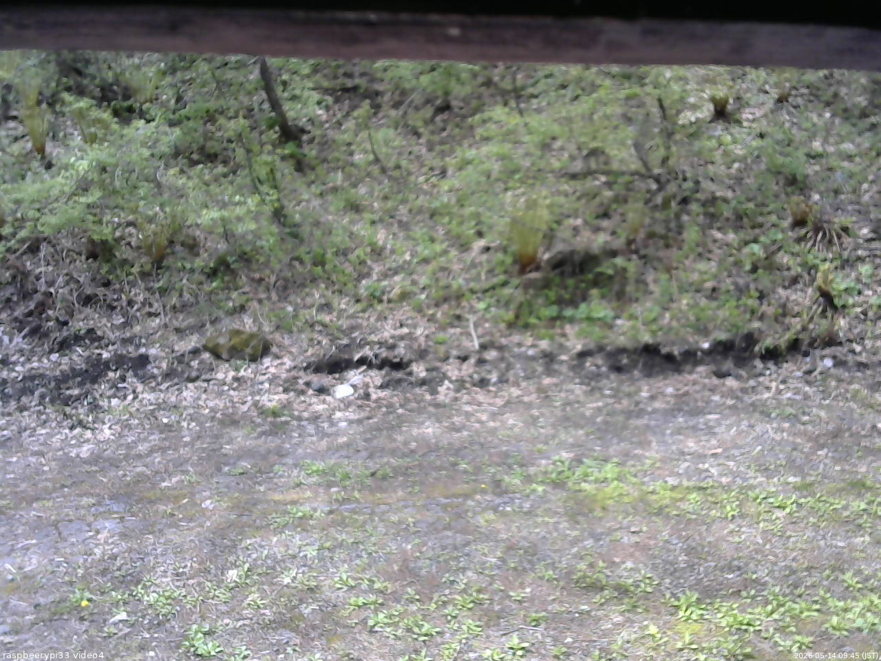 長野県菅平高原 ゆたか山荘 東側(坂下) 2026/05/14 09:45