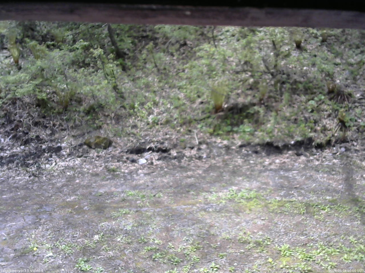 長野県菅平高原 ゆたか山荘 東側(坂下) 2026/05/14 10:00