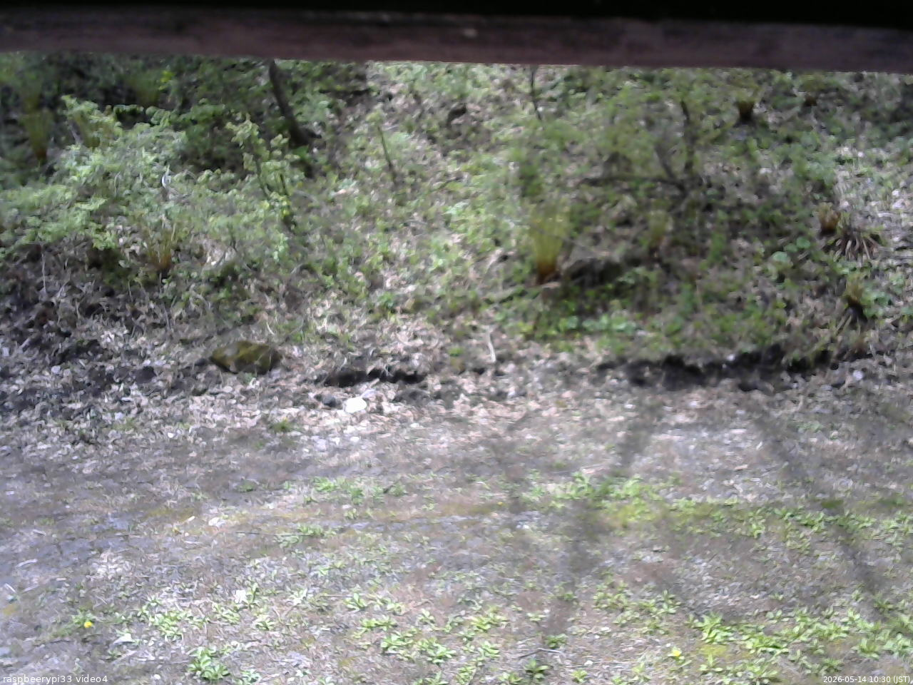 長野県菅平高原 ゆたか山荘 東側(坂下) 2026/05/14 10:30