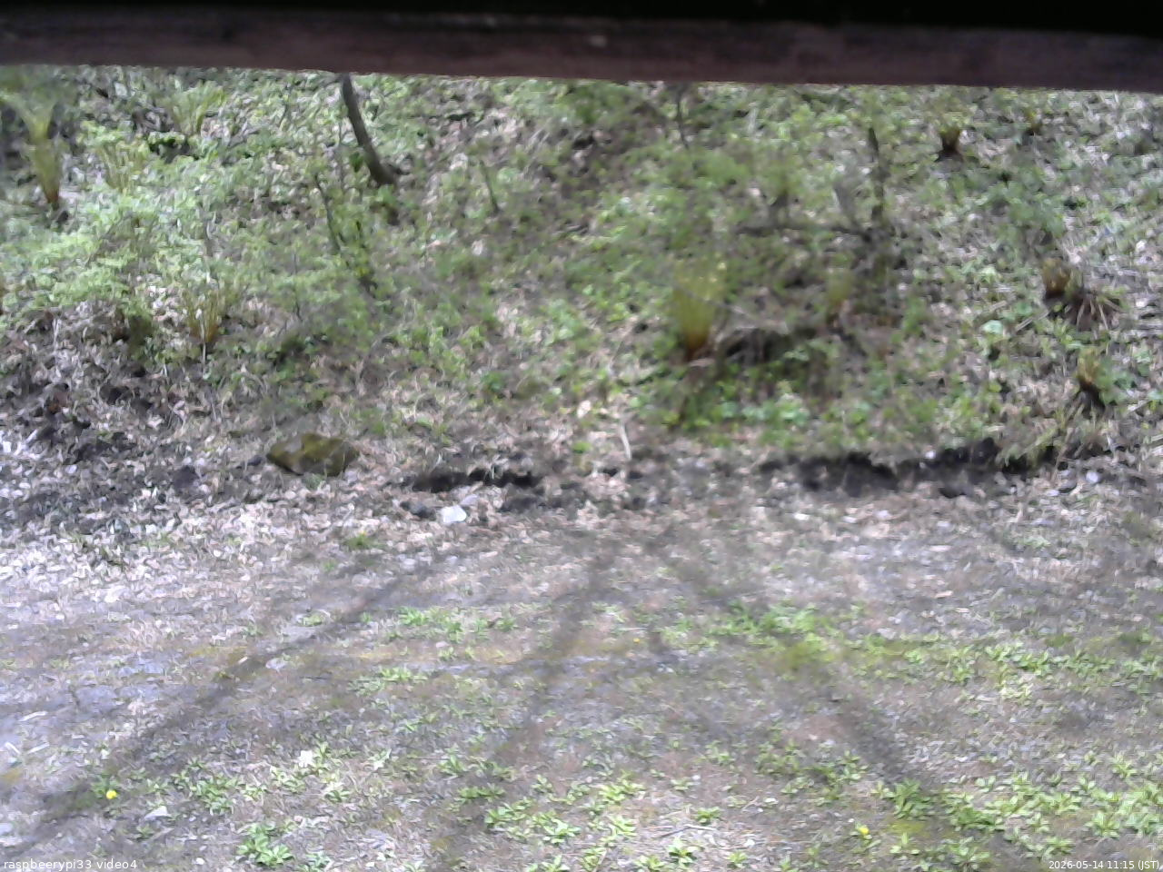 長野県菅平高原 ゆたか山荘 東側(坂下) 2026/05/14 11:15