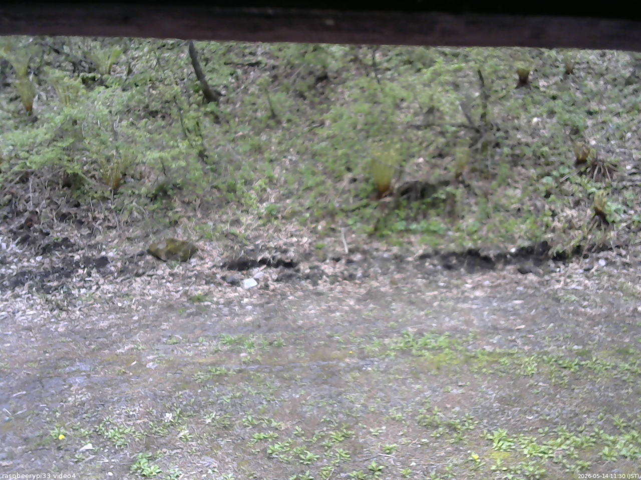 長野県菅平高原 ゆたか山荘 東側(坂下) 2026/05/14 11:30
