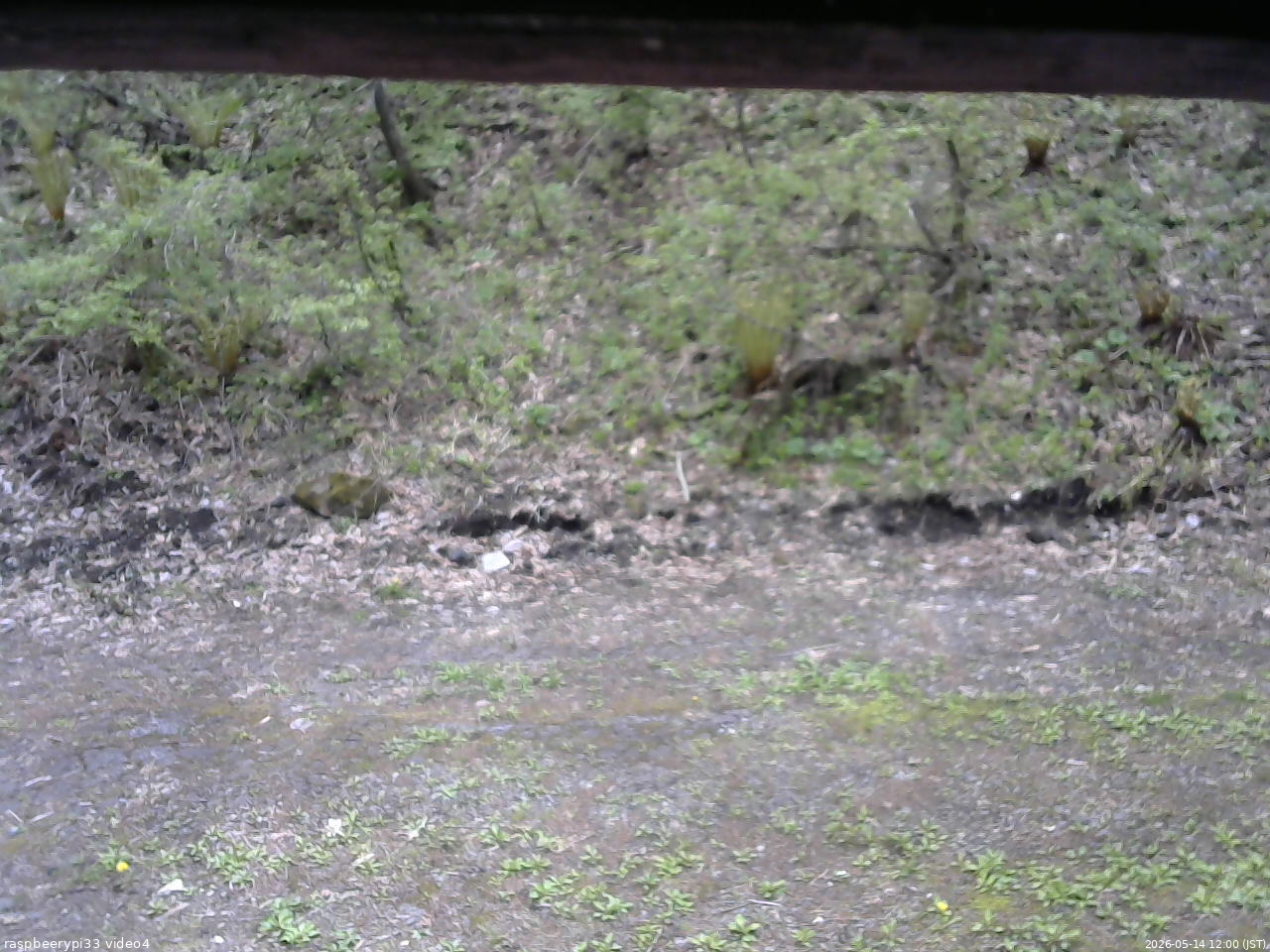 長野県菅平高原 ゆたか山荘 東側(坂下) 2026/05/14 12:00