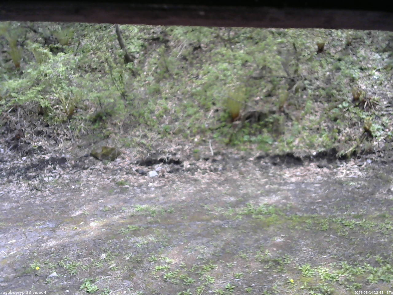 長野県菅平高原 ゆたか山荘 東側(坂下) 2026/05/14 12:45