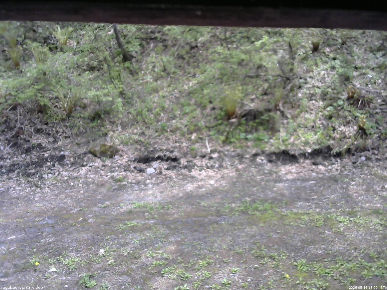長野県菅平高原 ゆたか山荘 東側(坂下) 2026/05/14 13:00