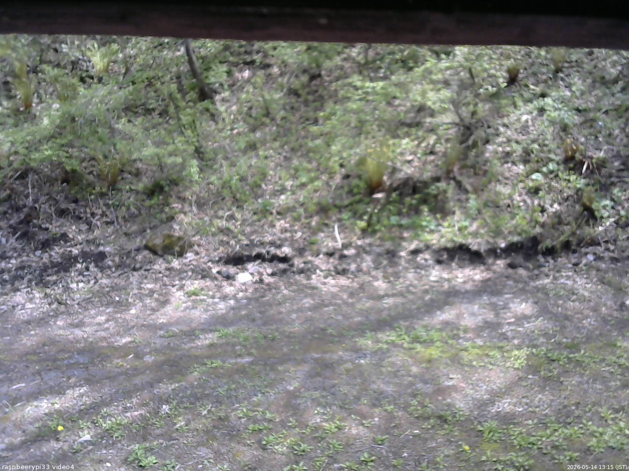 長野県菅平高原 ゆたか山荘 東側(坂下) 2026/05/14 13:15