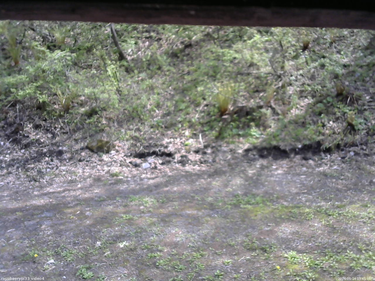 長野県菅平高原 ゆたか山荘 東側(坂下) 2026/05/14 13:45