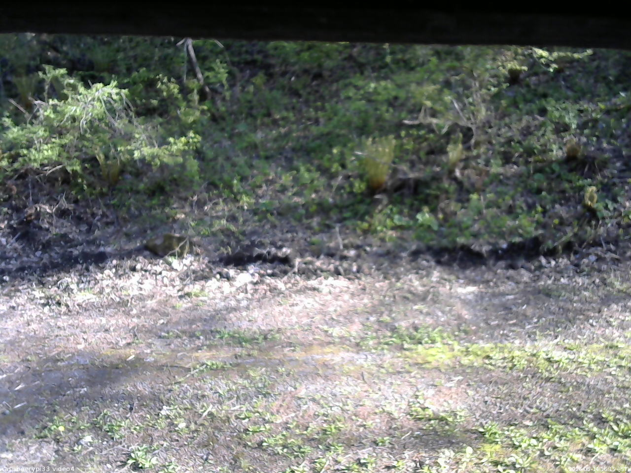長野県菅平高原 ゆたか山荘 東側(坂下) 2026/05/14 16:15