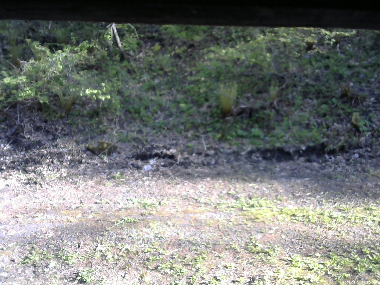 長野県菅平高原 ゆたか山荘 東側(坂下) 2026/05/14 16:30