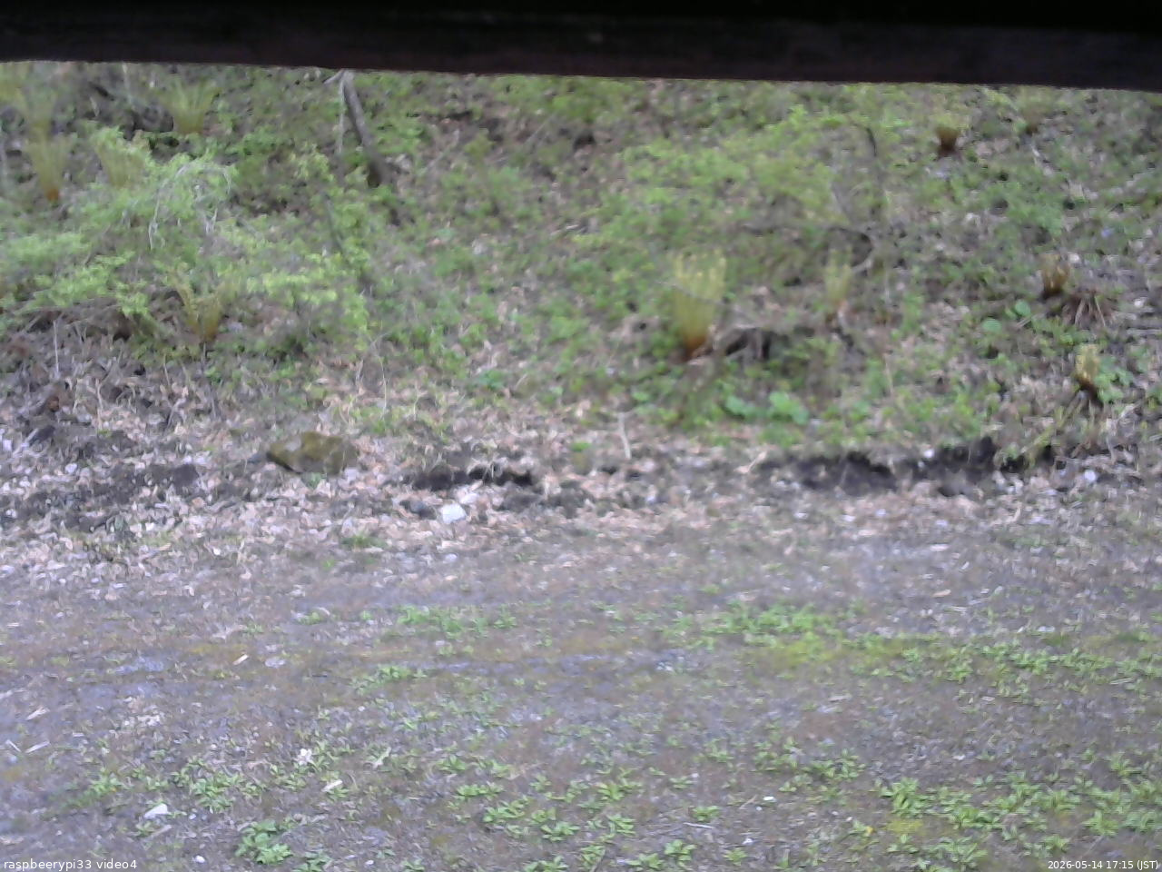 長野県菅平高原 ゆたか山荘 東側(坂下) 2026/05/14 17:15