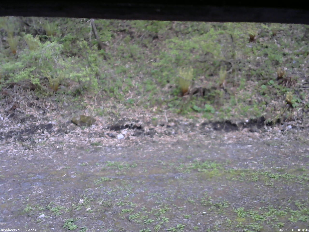 長野県菅平高原 ゆたか山荘 東側(坂下) 2026/05/14 18:00