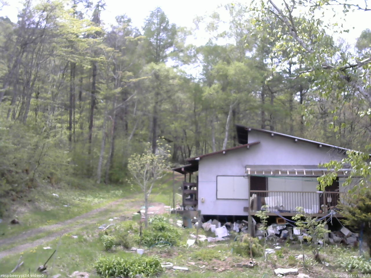 長野県菅平高原 ゆたか山荘 西側(坂上) 2026/05/14 13:00