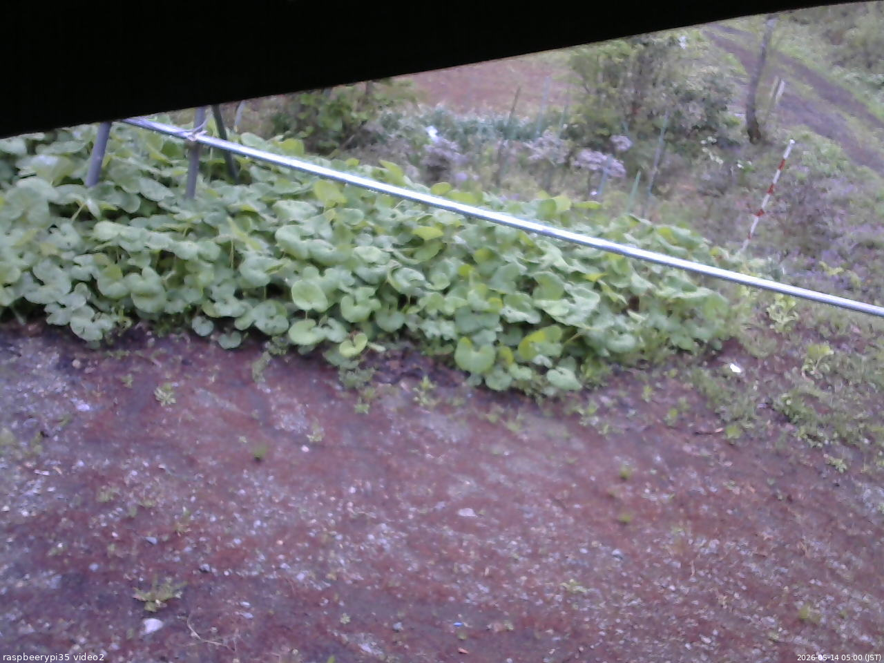 長野県菅平高原 ゆたか山荘 駐車場 2026/05/14 05:00