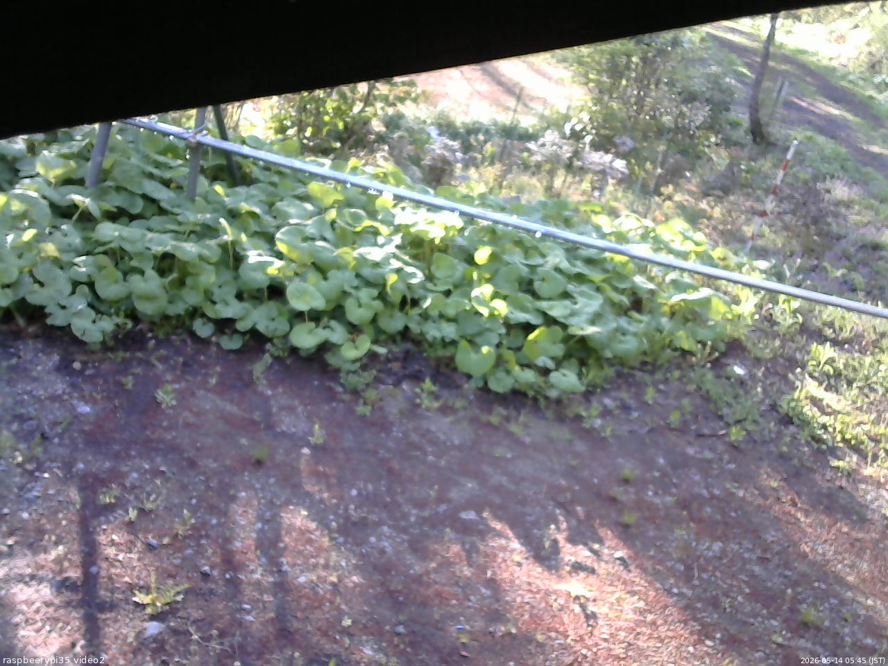 長野県菅平高原 ゆたか山荘 駐車場 2026/05/14 05:45