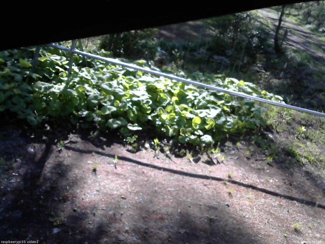 長野県菅平高原 ゆたか山荘 駐車場 2026/05/14 07:15