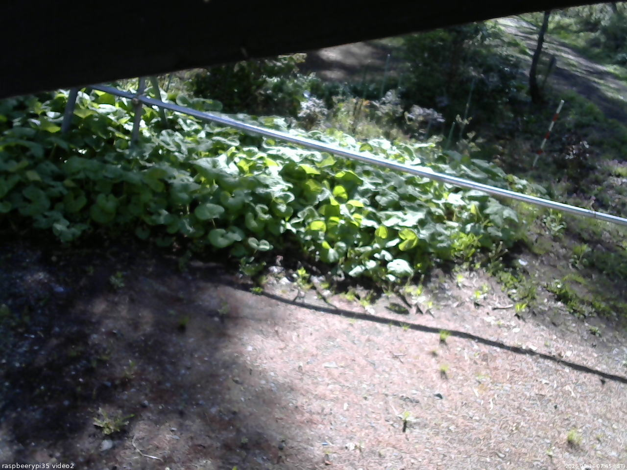 長野県菅平高原 ゆたか山荘 駐車場 2026/05/14 07:45