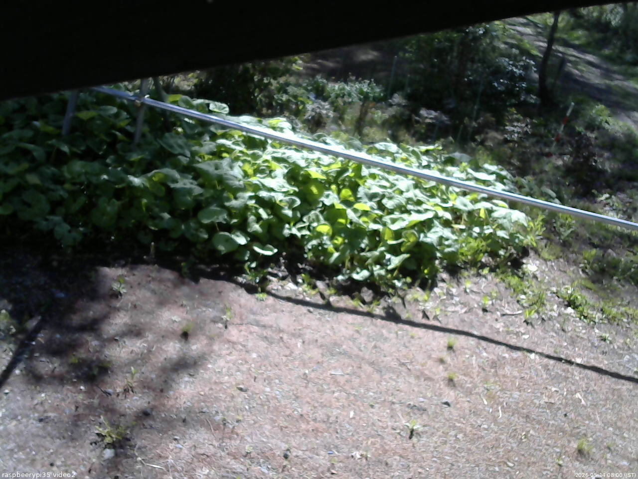 長野県菅平高原 ゆたか山荘 駐車場 2026/05/14 08:00