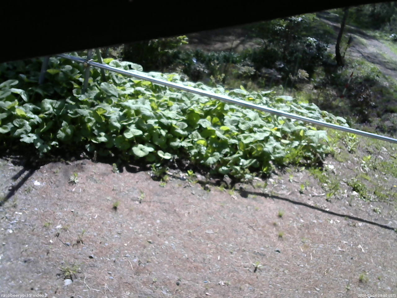 長野県菅平高原 ゆたか山荘 駐車場 2026/05/14 08:30