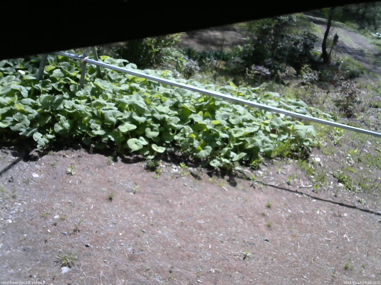 長野県菅平高原 ゆたか山荘 駐車場 2026/05/14 09:00