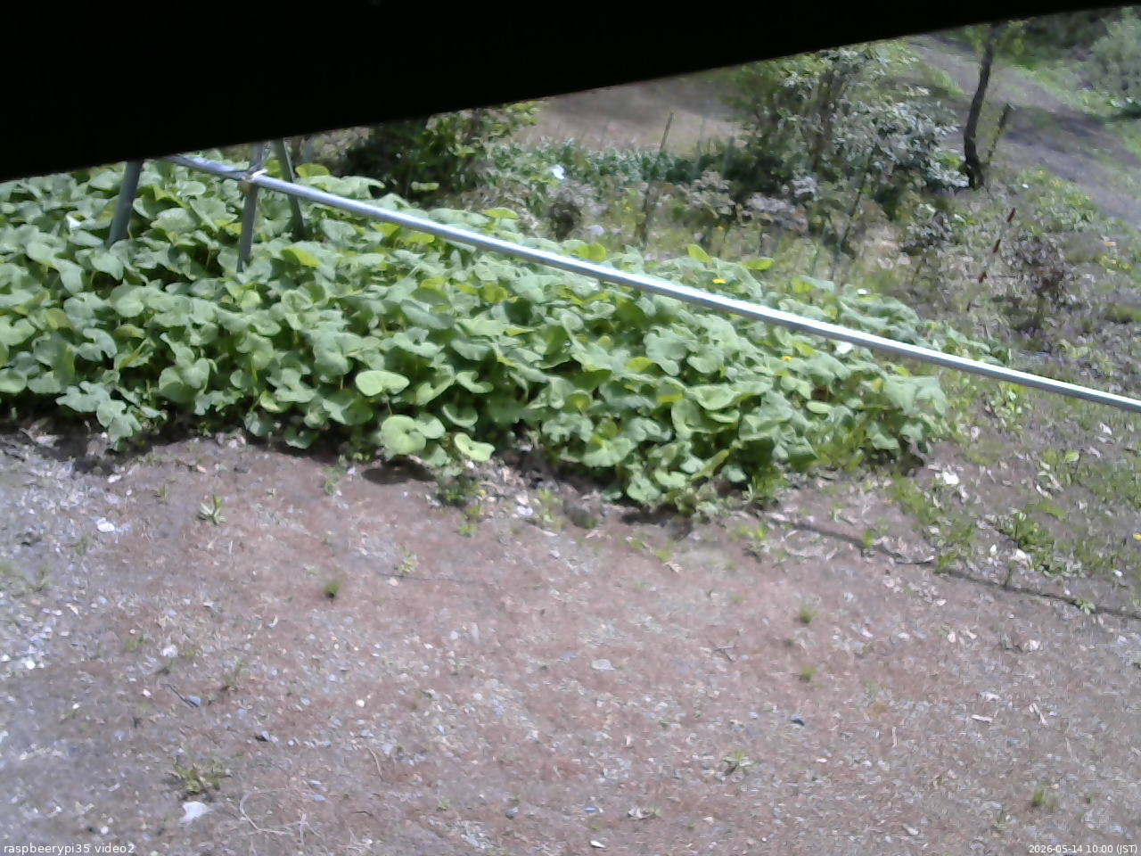 長野県菅平高原 ゆたか山荘 駐車場 2026/05/14 10:00
