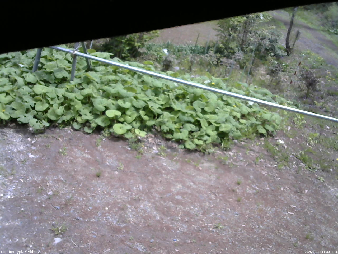 長野県菅平高原 ゆたか山荘 駐車場 2026/05/14 11:30