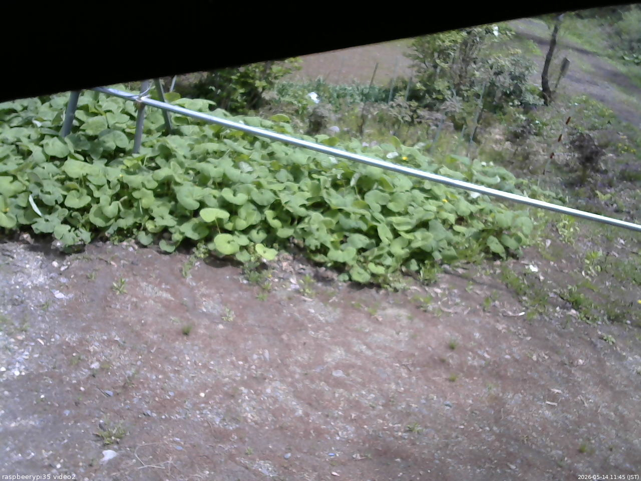 長野県菅平高原 ゆたか山荘 駐車場 2026/05/14 11:45