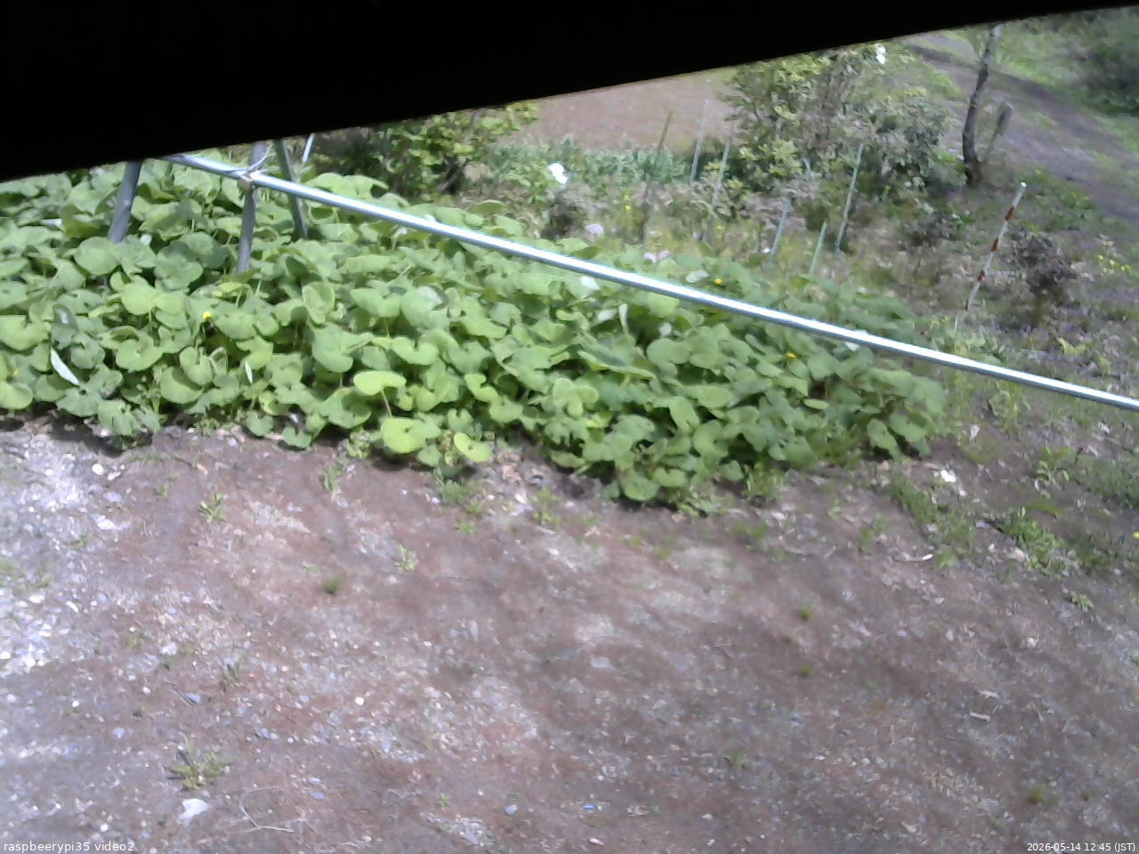 長野県菅平高原 ゆたか山荘 駐車場 2026/05/14 12:45