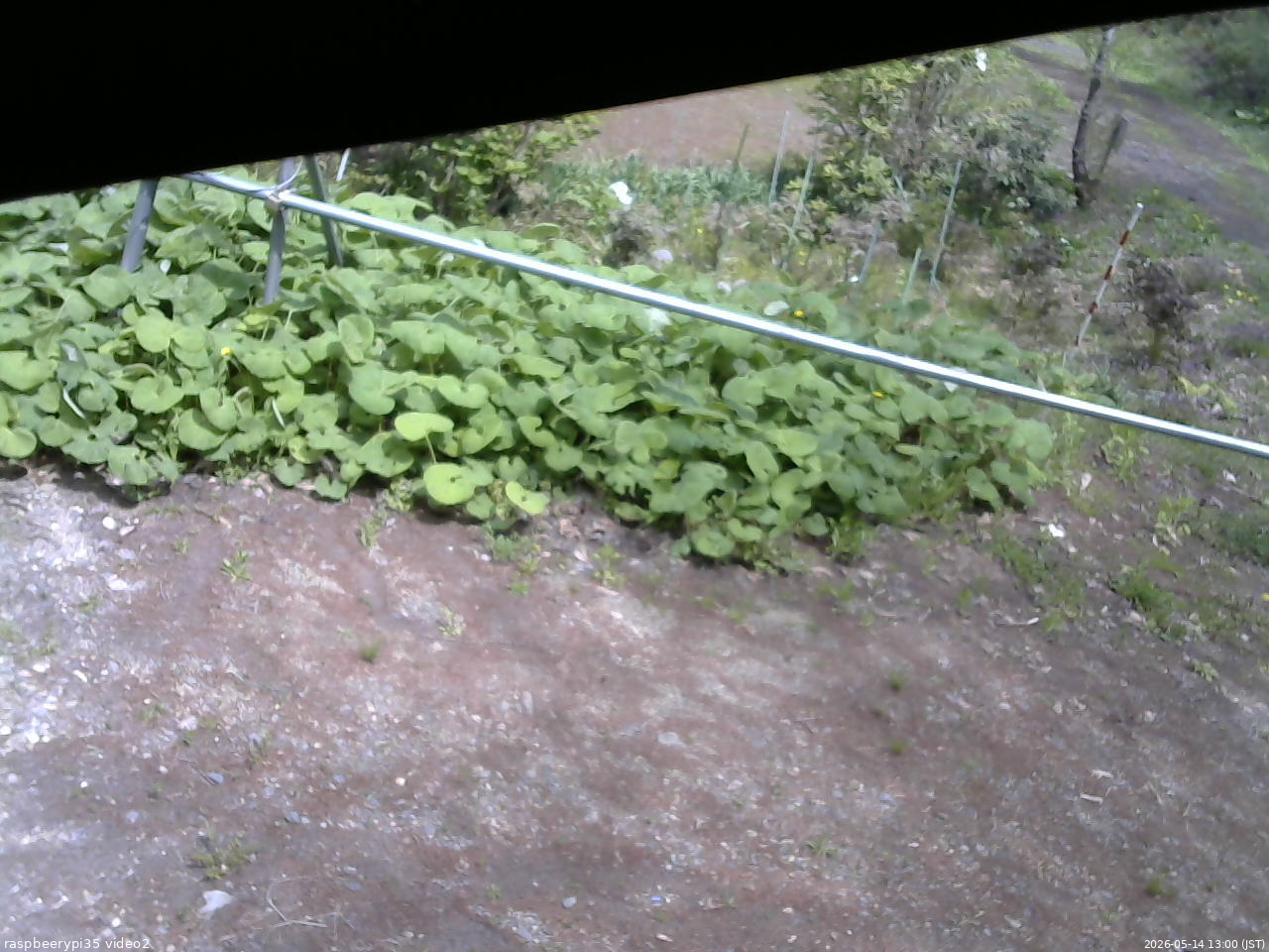 長野県菅平高原 ゆたか山荘 駐車場 2026/05/14 13:00